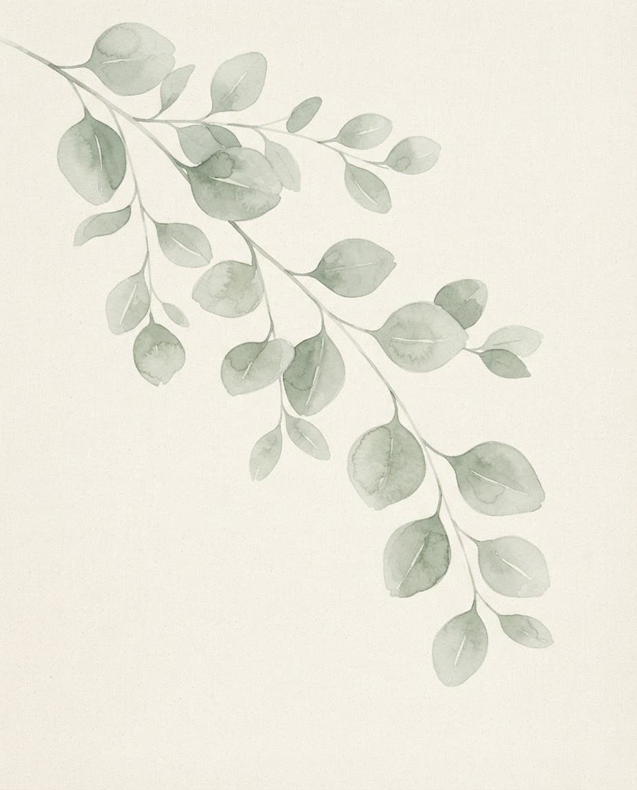 Eucalyptus Branch