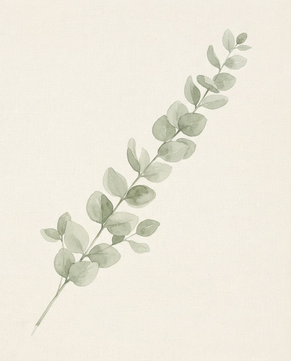 Eucalyptus Stem