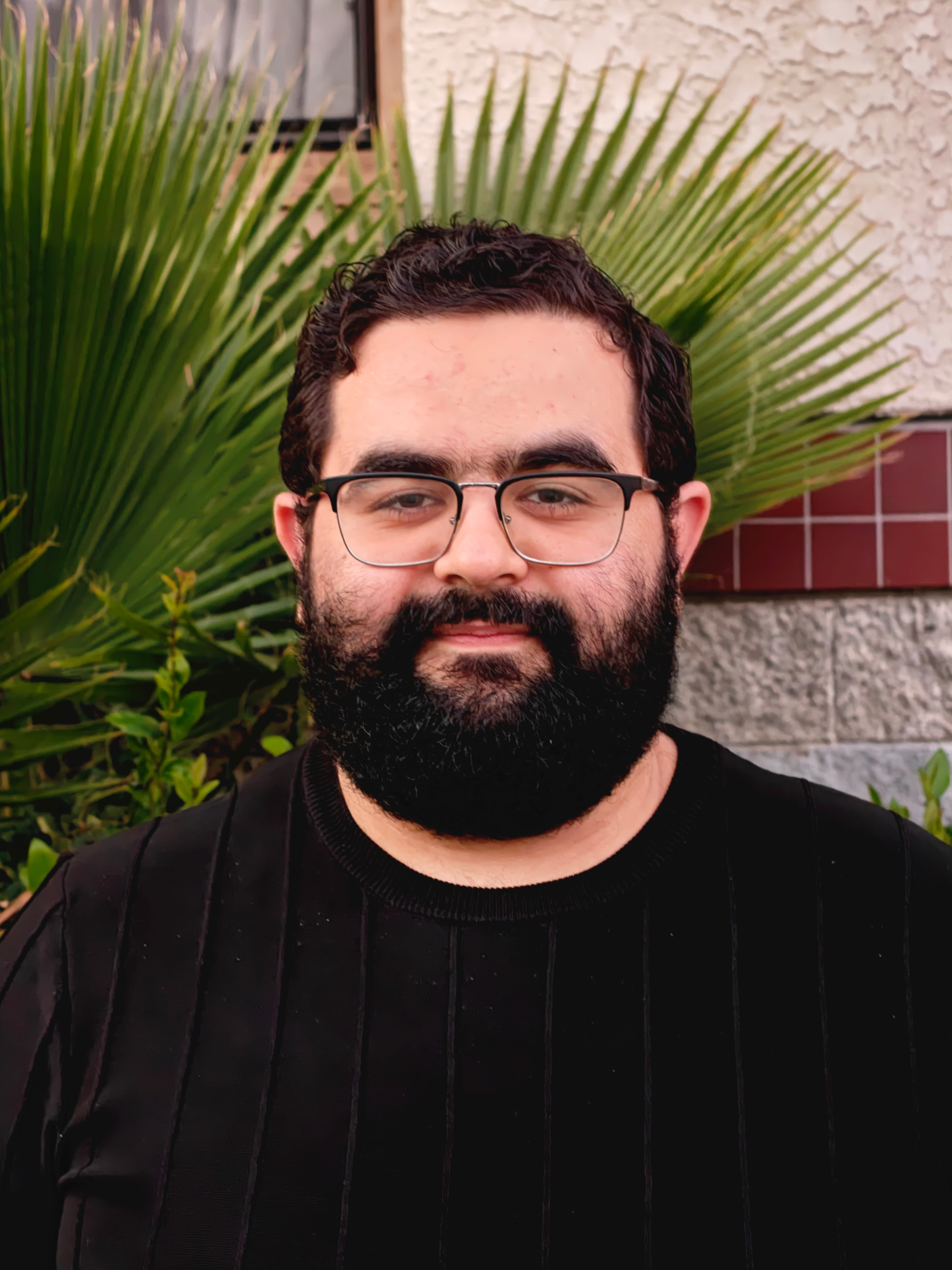 Daniel Beglaryan — Founder, CipherForces