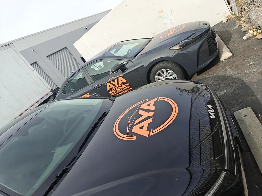 Orange AYA logo decals applied to the hood and doors of a dark sedan