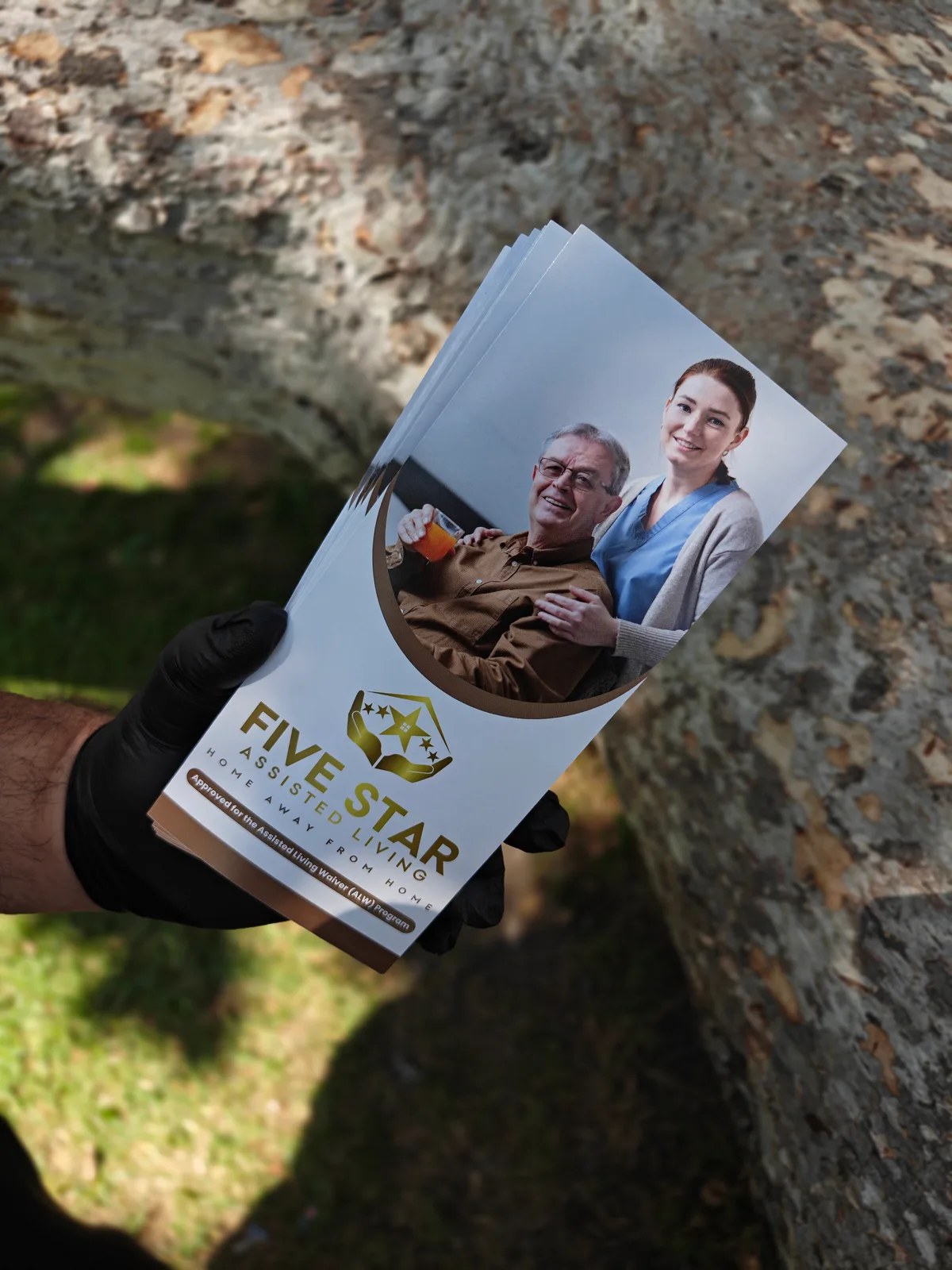 Tri-Fold Brochures we printed for a customer, photo 2