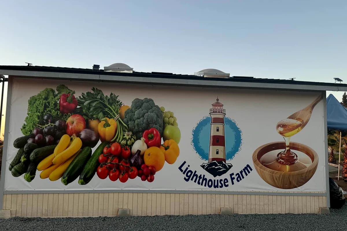 Full-wall printed building mural of fruit, vegetables and honey for Lighthouse Farm
